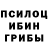 Галлюциногенные грибы MAGIC MUSHROOMS Adiya Sudabayeva