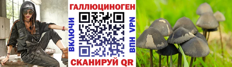где продают наркотики  Мантурово  Псилоцибиновые грибы Psilocybe 